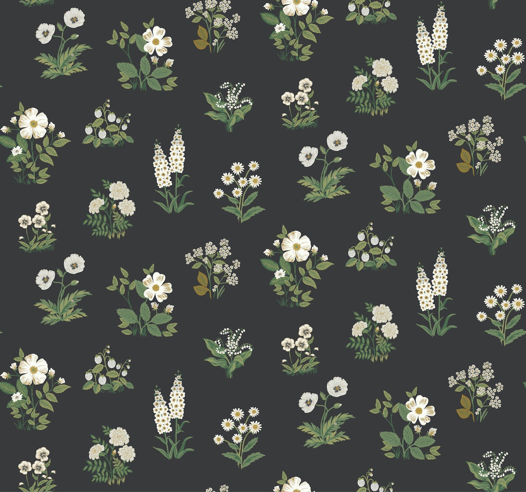 Botanical Black Wallpaper by Rifle Paper Co. Designer