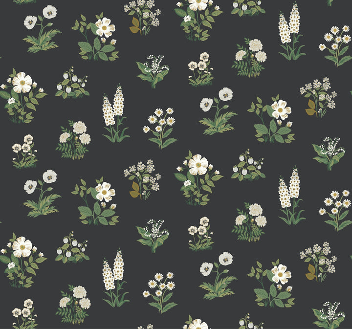 Botanical Black Wallpaper by Rifle Paper Co. Designer