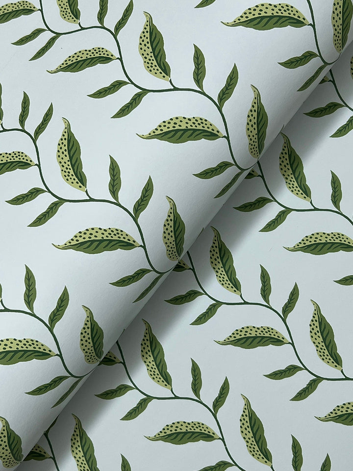 Seagrass Blue Wallpaper by Rifle Paper Co. Designer