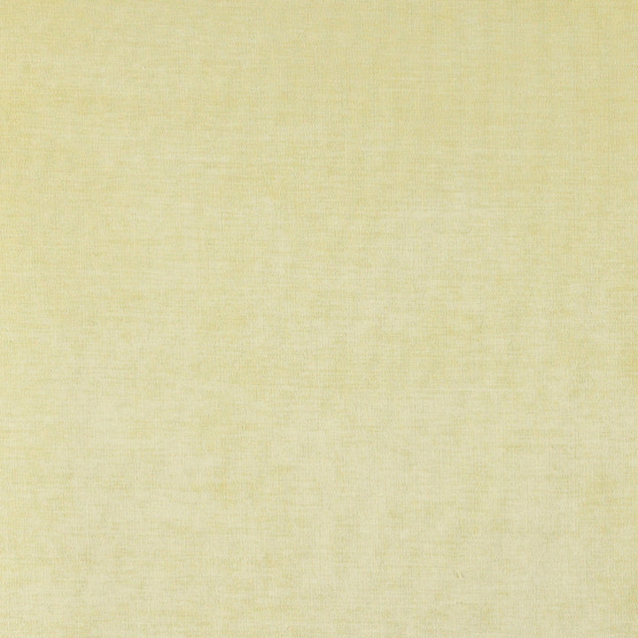 4228 Maize by Charlotte Designer Fabric Elegance of Woven Velvet III 100% Woven Polyester Asia Exceeds 200,000 Wyzenbeek Rubs (Heavy Duty) No Repeat 54 Inches - Swanky Fabrics -