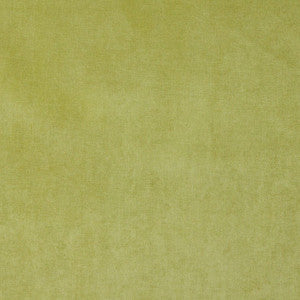 Charlotte Fabric 4229 Spring
