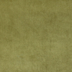 Charlotte Fabric 4234 Fern