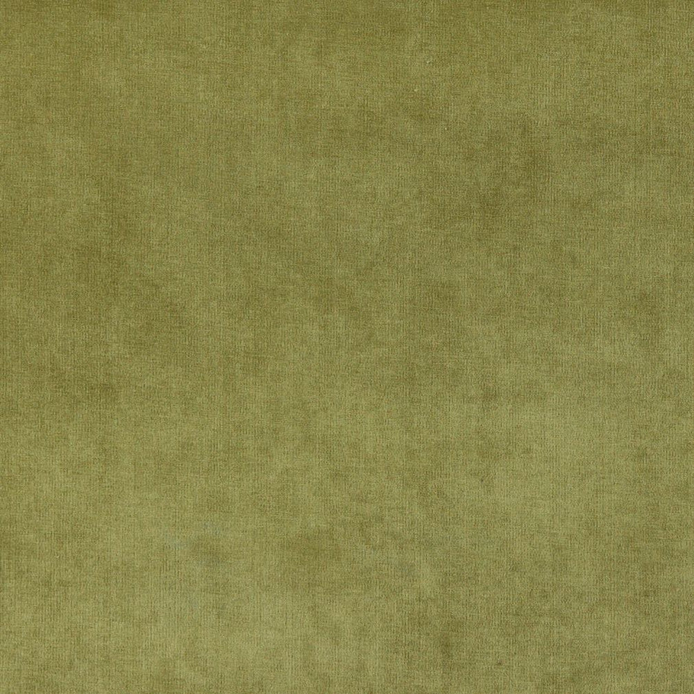 4234 Fern by Charlotte Designer Fabric Elegance of Woven Velvet III 100% Woven Polyester Asia Exceeds 200,000 Wyzenbeek Rubs (Heavy Duty) No Repeat 54 Inches - Swanky Fabrics -