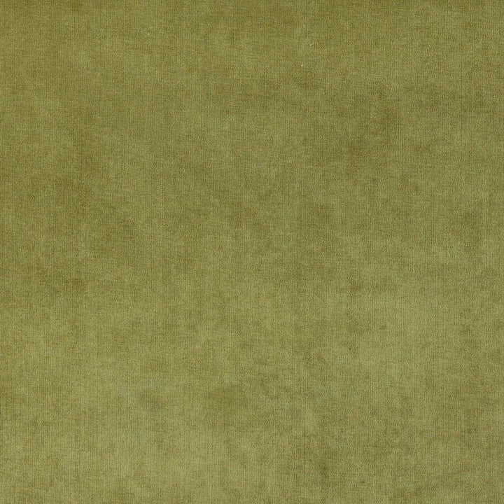 4234 Fern by Charlotte Designer Fabric Elegance of Woven Velvet III 100% Woven Polyester Asia Exceeds 200,000 Wyzenbeek Rubs (Heavy Duty) </p><p>Repeat: 54 Inches - Swanky Fabrics -