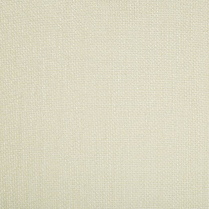 4254.1 by Kravet Basics Designer Fabric Gis Linen 100% France see sample Horizontal: see sample and Vertical: see sample 118 inches - Swanky Fabrics -