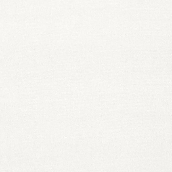 Gainsborough Velvet White 42777 by Schumacher Designer Fabric GAINSBOROUGH VELVET See Sample NETHERLANDS HEAVY DUTY </p><p>Repeat: Horizontal: - and Vertical: - 55" WIDE (140CM) - Swanky Fabrics -