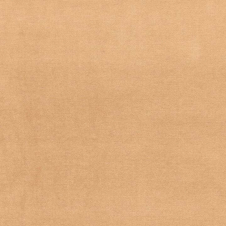 Gainsborough Velvet Chamois 42784 by Schumacher Fabric Schumacher Fabric Gainsborough Velvet Chamois 42784Fabric COTTON 100% NETHERLANDS </p><p>Repeat: H: , V: 55 - Fabric Carolina -