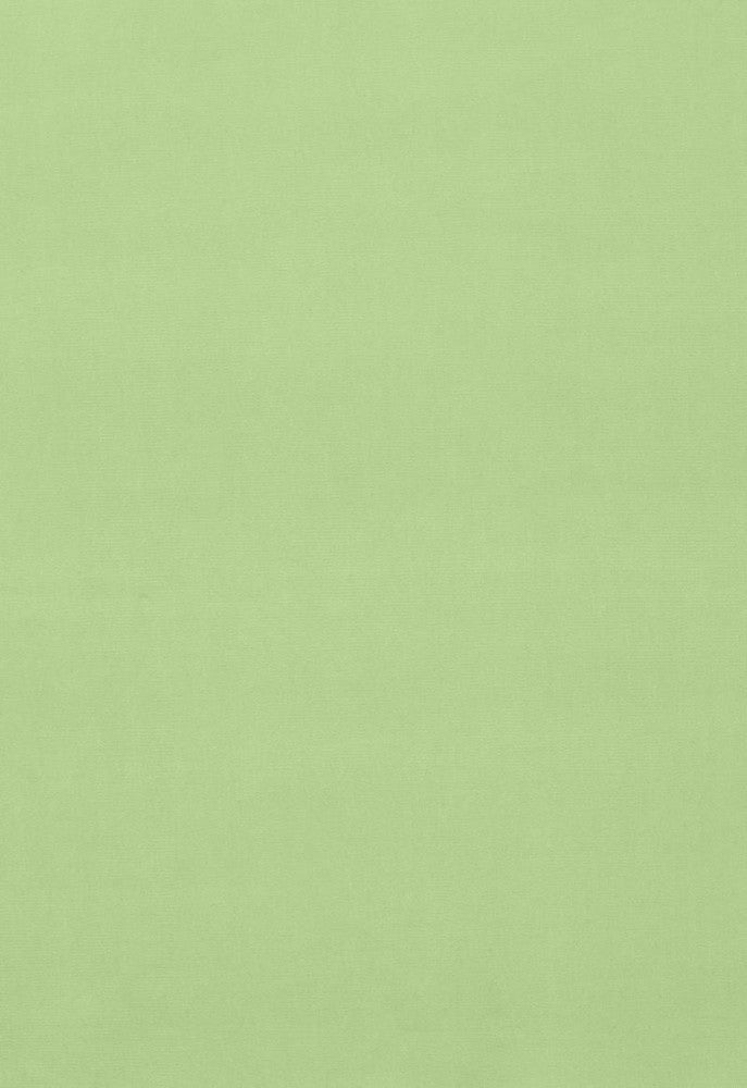 Gainsborough Velvet Mint 42855 by Schumacher Designer Fabric Gainsborough-Velvets 100% Cotton Wyzenbeek 40,000 Horizontal: - and Vertical: - 55 - Swanky Fabrics -