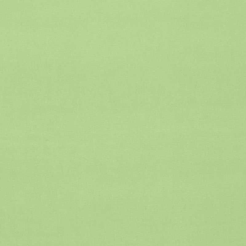 Gainsborough Velvet Mint 42855 by Schumacher Designer Fabric GAINSBOROUGH VELVET COTTON 100% NETHERLANDS WYZENBEEK 40,000 </p><p>Repeat: Horizontal: and Vertical: 55 - Swanky Fabrics -