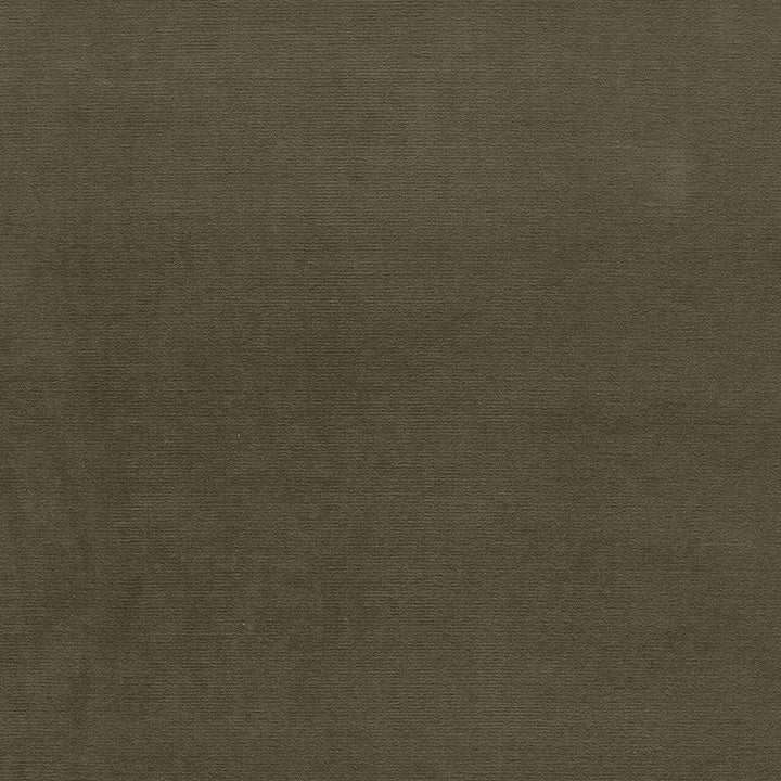 Gainsborough Velvet Khaki 42866 by Schumacher Fabric Schumacher Fabric Gainsborough Velvet Khaki 42866Fabric COTTON 100% NETHERLANDS </p><p>Repeat: H: , V: 55 - Fabric Carolina -