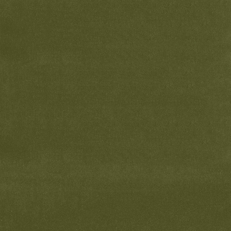 Gainsborough Velvet Olive 42868 by Schumacher Fabric Schumacher Fabric Gainsborough Velvet Olive 42868Fabric COTTON 100% NETHERLANDS </p><p>Repeat: H: , V: 55 - Fabric Carolina -