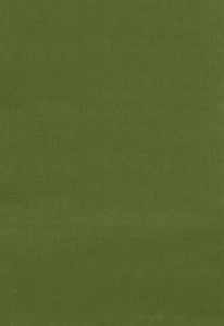 Schumacher Fabric Gainsborough Velvet Fern 42869
