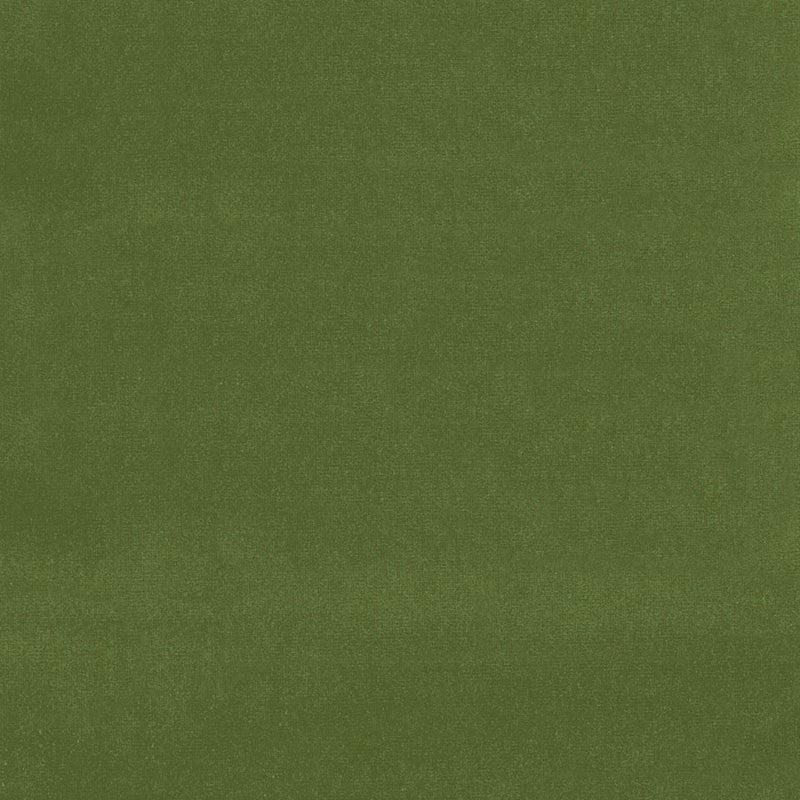 Gainsborough Velvet Fern 42869 by Schumacher Designer Fabric GAINSBOROUGH VELVET See Sample NETHERLANDS HEAVY DUTY </p><p>Repeat: Horizontal: - and Vertical: - 55" WIDE (140CM) - Swanky Fabrics -