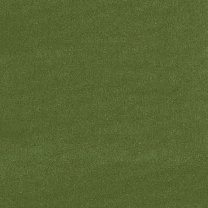 Gainsborough Velvet Fern 42869 by Schumacher Designer Fabric GAINSBOROUGH VELVET See Sample NETHERLANDS HEAVY DUTY </p><p>Repeat: Horizontal: - and Vertical: - 55" WIDE (140CM) - Swanky Fabrics -