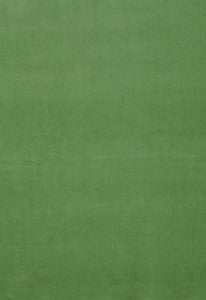 Schumacher Fabric Gainsborough Velvet Parrot 42876