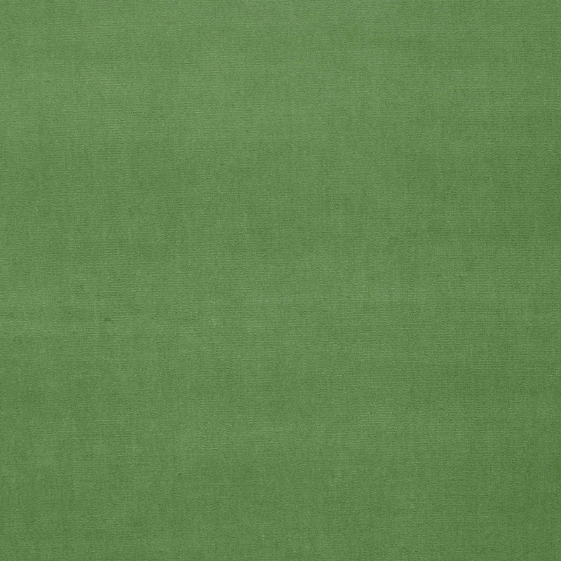 Gainsborough Velvet Parrot 42876 by Schumacher Designer Fabric GAINSBOROUGH WOVENS F90 See Sample NETHERLANDS HEAVY DUTY </p><p>Repeat: Horizontal: - and Vertical: - 55" WIDE (140CM) - Swanky Fabrics -