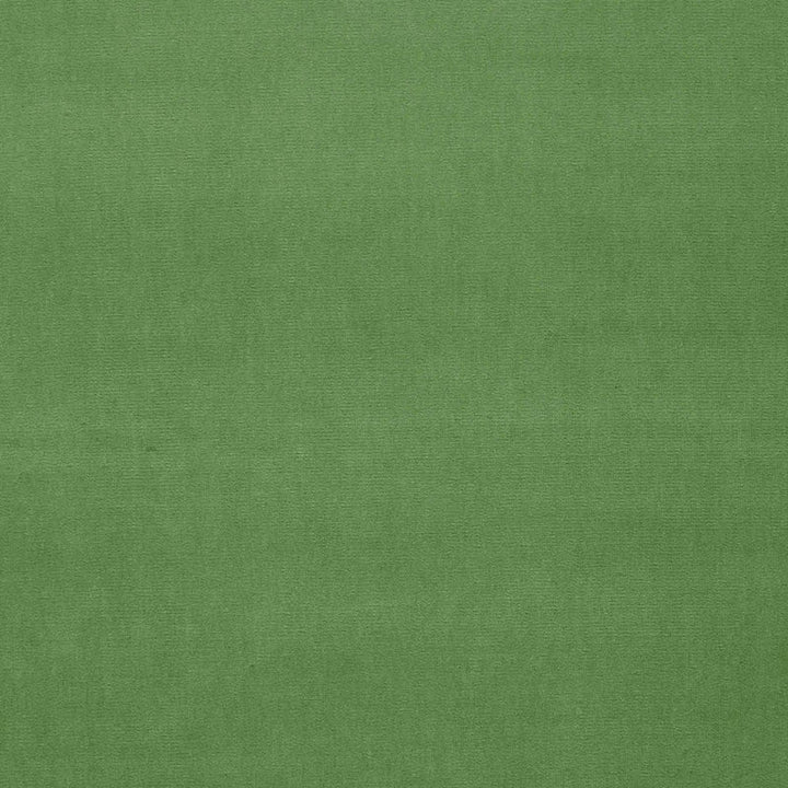 Gainsborough Velvet Parrot 42876 by Schumacher Designer Fabric GAINSBOROUGH WOVENS F90 See Sample NETHERLANDS HEAVY DUTY </p><p>Repeat: Horizontal: - and Vertical: - 55" WIDE (140CM) - Swanky Fabrics -