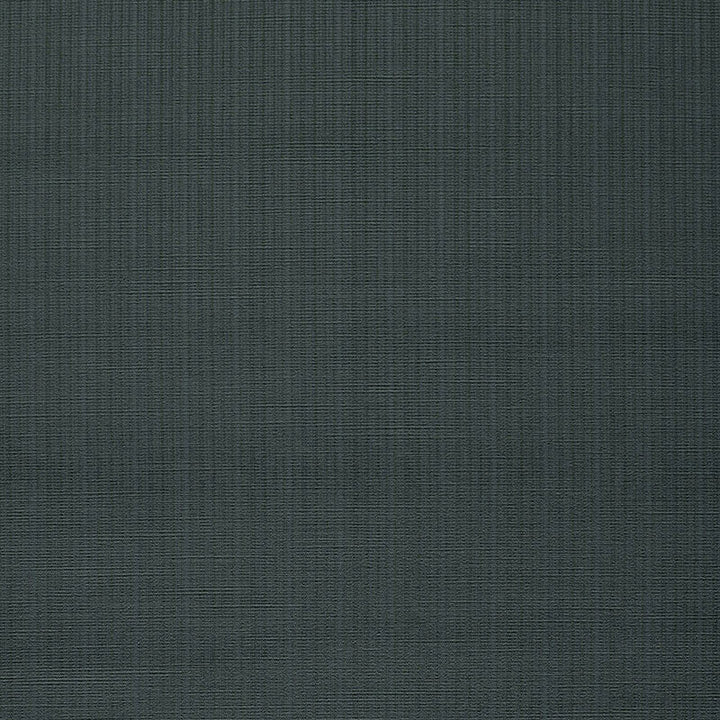 Antique Strie Velvet Charcoal 43057 by Schumacher Designer Fabric CHROMA COTTON 65% VISCOSE RAYON 35% UNITED STATES OF AMERICA WYZENBEEK 150,000 </p><p>Repeat: Horizontal: and Vertical: 54 - Swanky Fabrics -