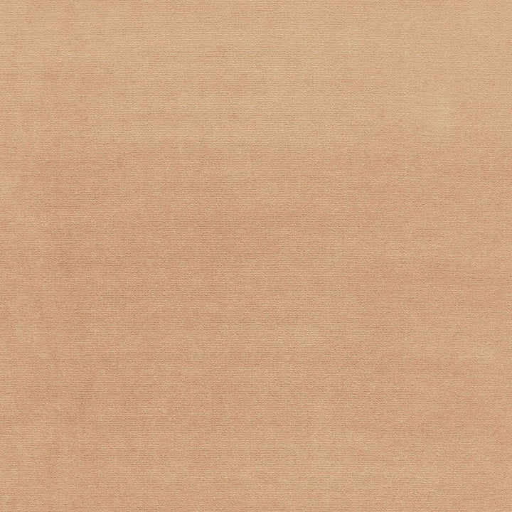 Gainsborough Velvet Oatmeal 43245 by Schumacher Fabric Schumacher Fabric Gainsborough Velvet Oatmeal 43245Fabric COTTON 100% NETHERLANDS </p><p>Repeat: H: , V: 55 - Fabric Carolina -