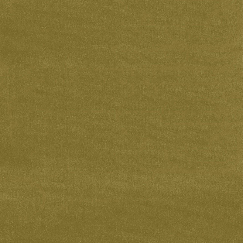 Gainsborough Velvet Sap 43259 by Schumacher Fabric Schumacher Fabric Gainsborough Velvet Sap 43259Fabric COTTON 100% NETHERLANDS </p><p>Repeat: H: , V: 55 - Fabric Carolina -