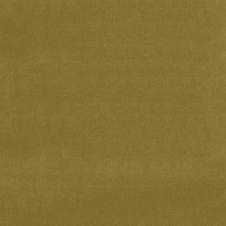 Gainsborough Velvet Sap 43259 by Schumacher Fabric Schumacher Fabric Gainsborough Velvet Sap 43259Fabric COTTON 100% NETHERLANDS </p><p>Repeat: H: , V: 55 - Fabric Carolina -