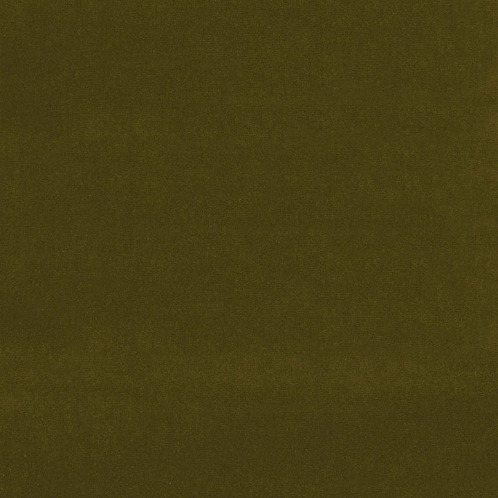 Gainsborough Velvet Mistletoe 43260 by Schumacher Designer Fabric GAINSBOROUGH VELVETS COTTON 100% NETHERLANDS WYZENBEEK 40,000 </p><p>Repeat: Horizontal: and Vertical: 55 - Swanky Fabrics -