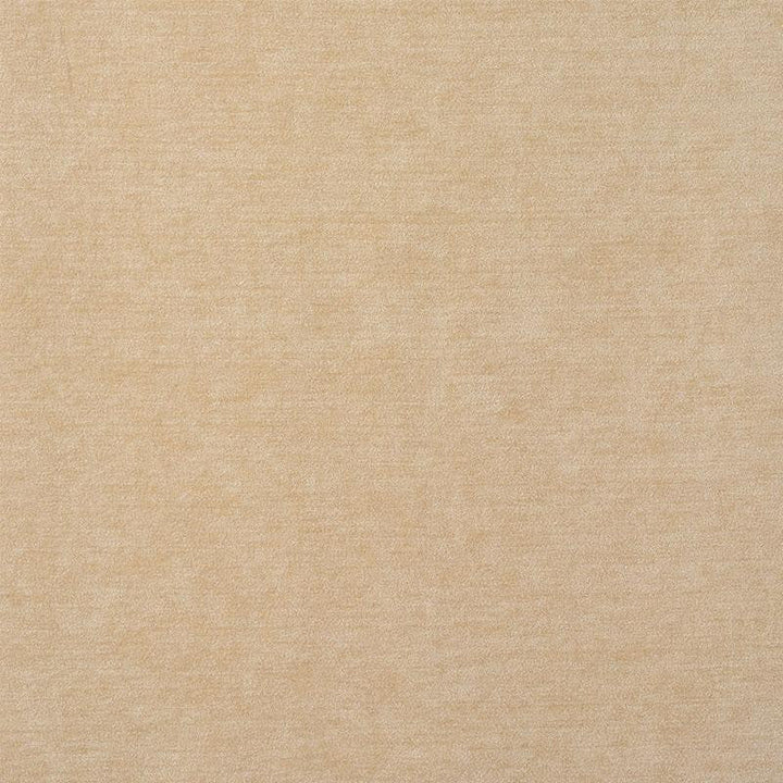Ryder Performance Chenille Natural 77160 by Schumacher Designer Fabric Perfect Basics: Chenille - Swanky Fabrics -