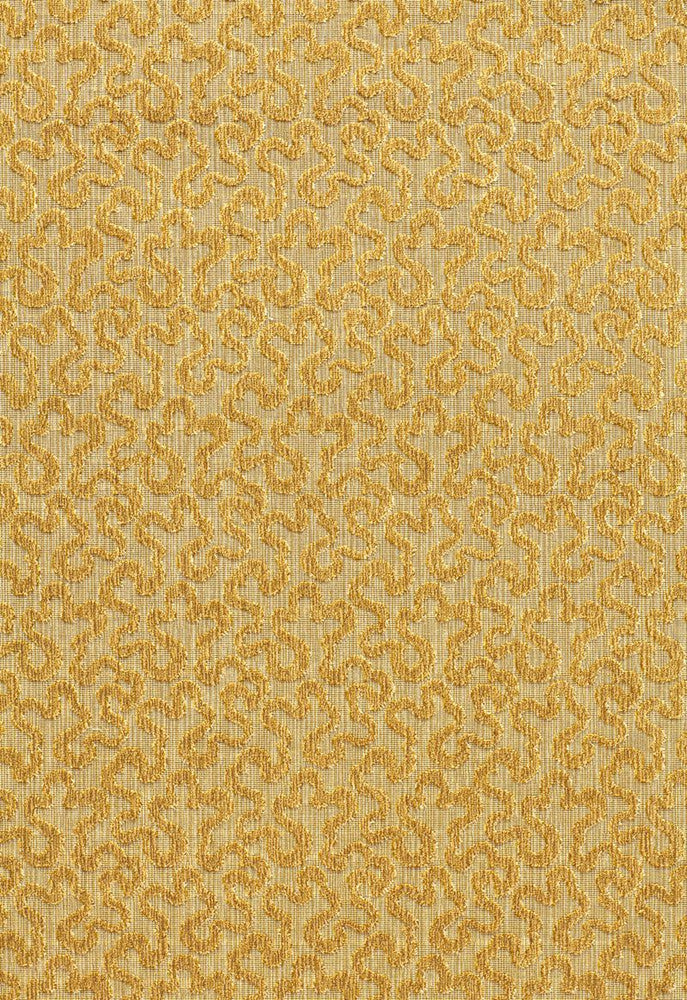 Vermicelli Velvet Naples 43276 by Schumacher Designer Fabric Chroma 100% Cotton Martindale 25,000 Horizontal: 3.375 and Vertical: 4.75 54 - Swanky Fabrics -
