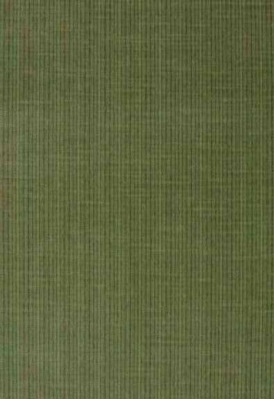Antique Strie Velvet Grass 43282 by Schumacher Designer Fabric Chroma 65% Cotton, 35% Viscose Wyzenbeek 100,000 Horizontal: - and Vertical: - 54 - Swanky Fabrics -