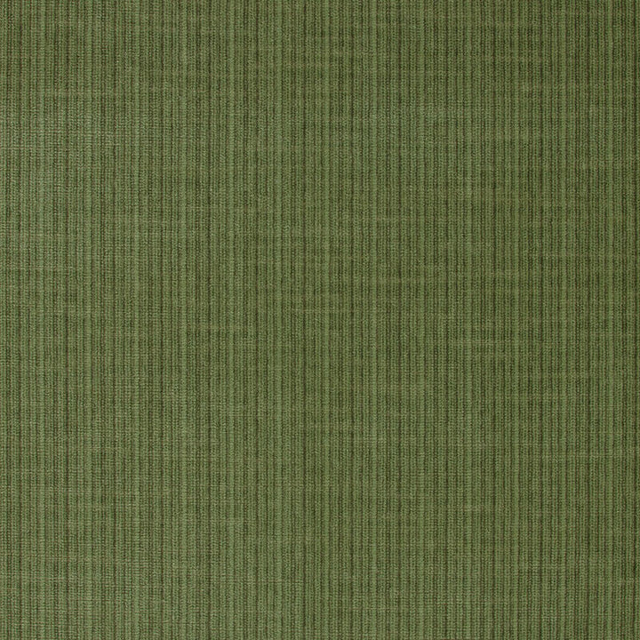 Antique Strie Velvet Grass 43282 by Schumacher Fabric Schumacher Fabric Antique Strie Velvet Grass 43282Fabric COTTON 65% UNITED STATES OF AMERICA </p><p>Repeat: H: , V: 54 - Fabric Carolina -