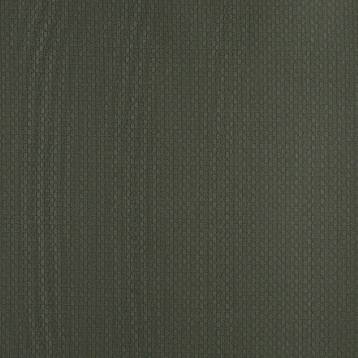 4340 Alpine by Charlotte Designer Fabric Uptown Jacquards V 55% Cotton, 45% Polyester Asia Exceeds 90,000 Wyzenbeek Rubs (Heavy Duty) </p><p>Repeat: Horizontal: .5" x Vertical: .5" 54 Inches - Swanky Fabrics -