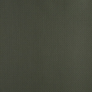 Charlotte Fabric 4340 Alpine