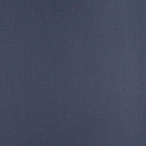Charlotte Fabric 4345 Dresden