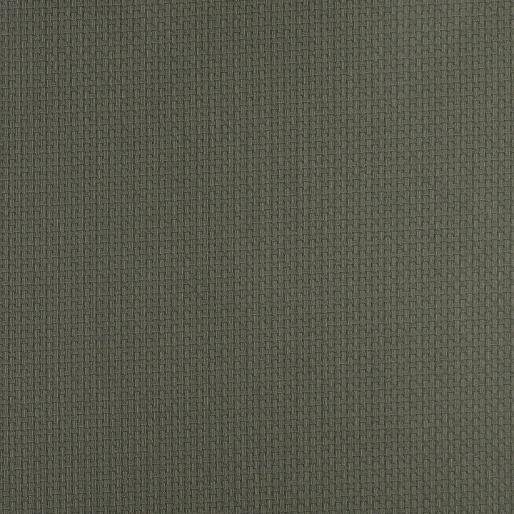 4348 Juniper by Charlotte Designer Fabric Uptown Jacquards V 55% Cotton, 45% Polyester Asia Exceeds 70,000 Wyzenbeek Rubs (Heavy Duty) Horizontal: .5" x Vertical: .5" 54 Inches - Swanky Fabrics -