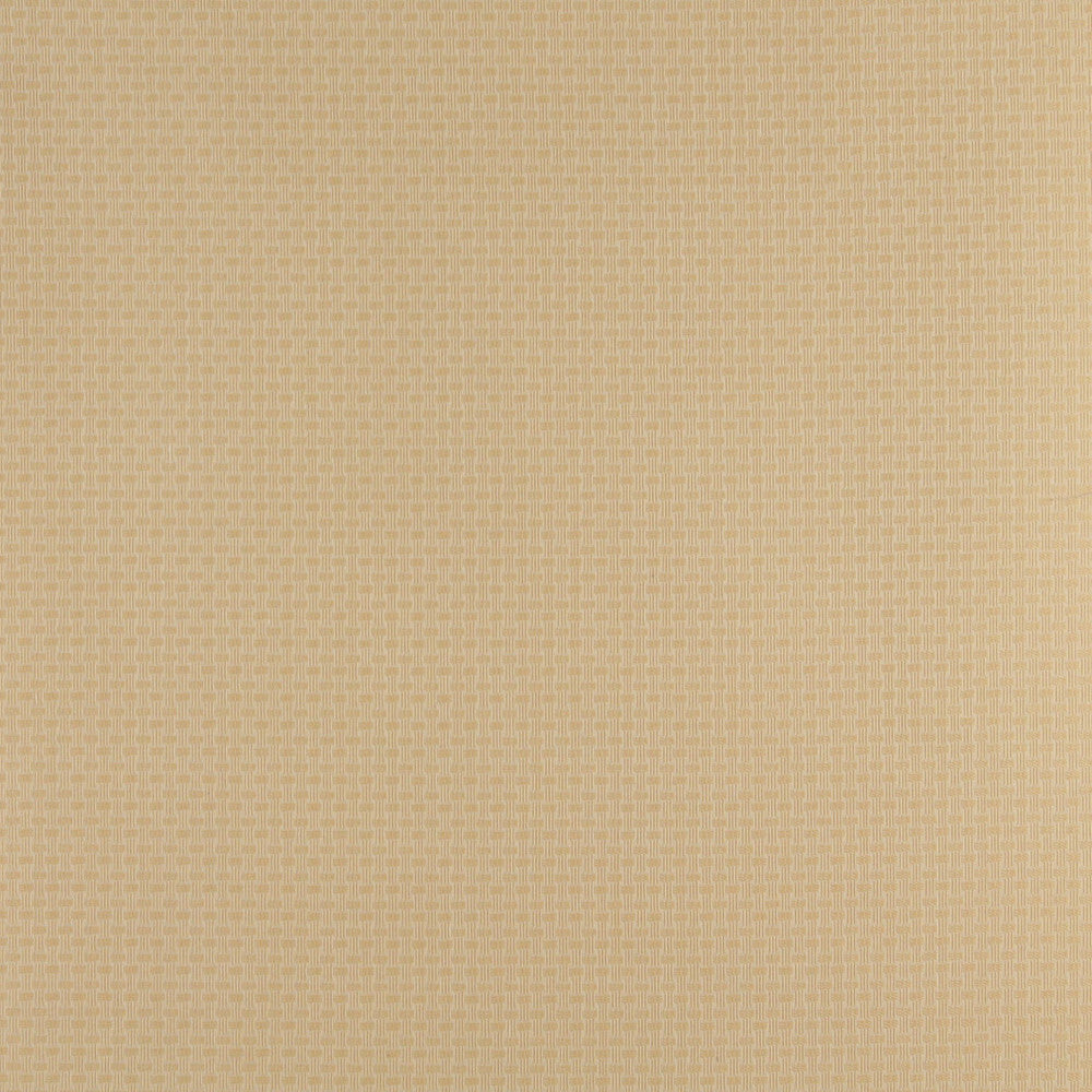 4349 Flax by Charlotte Designer Fabric Uptown Jacquards V 55% Cotton, 45% Polyester Asia Exceeds 70,000 Wyzenbeek Rubs (Heavy Duty) Horizontal: .5" x Vertical: .5" 54 Inches - Swanky Fabrics -