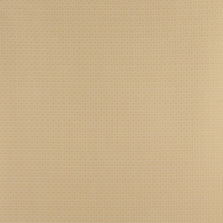 4349 Flax by Charlotte Designer Fabric Uptown Jacquards V 55% Cotton, 45% Polyester Asia Exceeds 70,000 Wyzenbeek Rubs (Heavy Duty) Horizontal: .5" x Vertical: .5" 54 Inches - Swanky Fabrics -