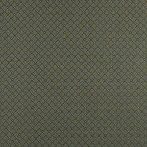 Charlotte Fabric 4353 Alpine Shell
