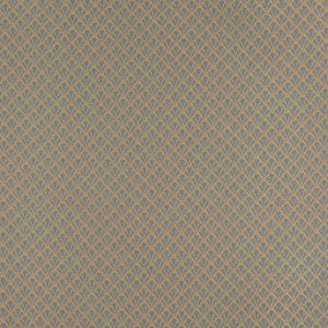 Charlotte Fabric 4356 Chambray Shell
