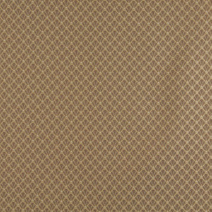 Charlotte Fabric 4359 Harvest Shell