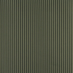 Charlotte Fabric 4366 Alpine Stripe