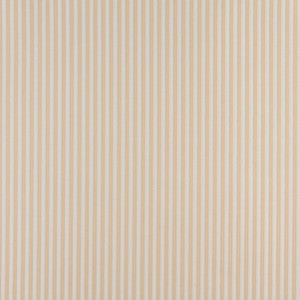 Charlotte Fabric 4368 Ecru Stripe