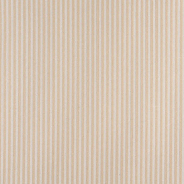 4368 Ecru Stripe by Charlotte Designer Fabric Uptown Jacquards V, Ring Book Page #40A 55% Cotton, 45% Polyester Asia Exceeds 90,000 Wyzenbeek Rubs (Heavy Duty) </p><p>Repeat: Horizontal: .5" 54 Inches - Swanky Fabrics -