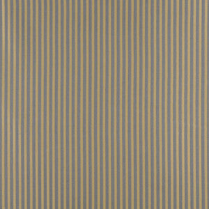 Charlotte Fabric 4369 Chambray Stripe