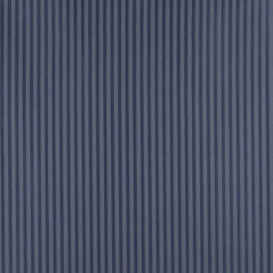 Charlotte Fabric 4371 Dresden Stripe