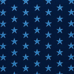 Schumacher Fabric Star Pingl Blue 77421