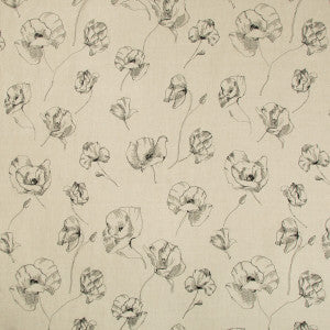 Kravet Fabric Field Notes Natural/Noir