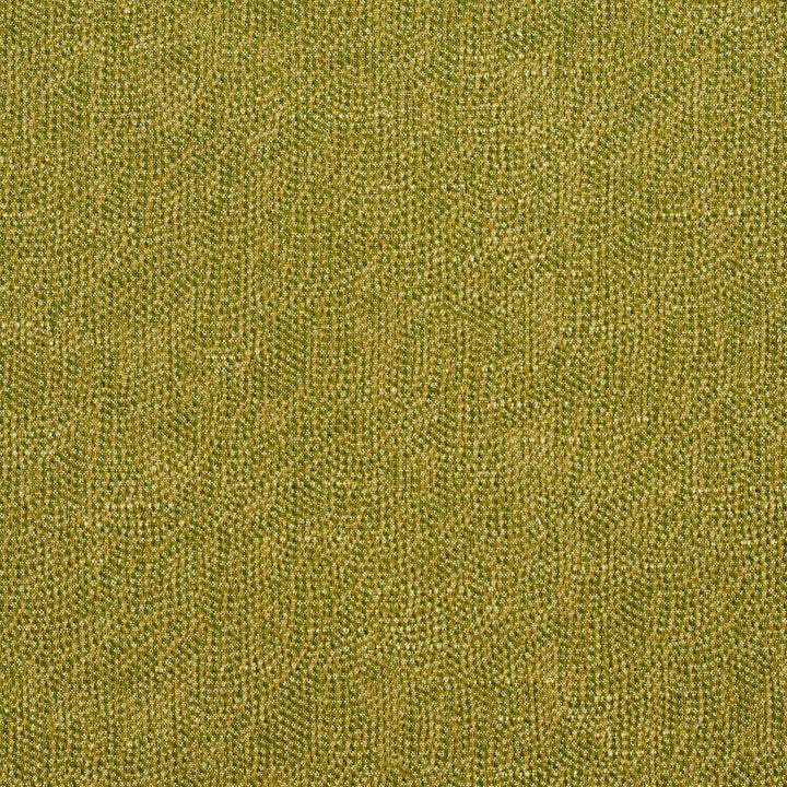 4447 Fern by Charlotte Designer Fabric Multipurpose Jacquards 59% Cotton, 41% Polyester Taiwan Exceeds 50,000 Wyzenbeek Rubs (Heavy Duty) </p><p>Repeat: 54 Inches - Swanky Fabrics -