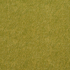 Charlotte Fabric 4447 Fern