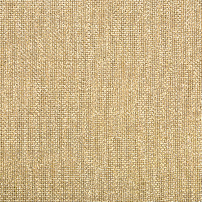 4458.16 by Kravet Contract Designer Fabric our website for purchase Polyester 100% China Heavy Horizontal: see sample and Vertical: see sample 54 inches - Swanky Fabrics -