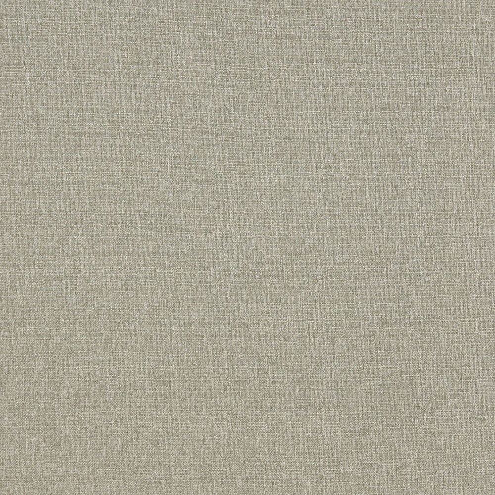 4529 Aloe by Charlotte Designer Fabric Ring Book Page #19 & Ring Book Page #34A 76% Olefin, 24% Polyester Made In USA Exceeds 70,000 Wyzenbeek Rubs (Heavy Duty) </p><p>Repeat: 54 Inches - Swanky Fabrics -